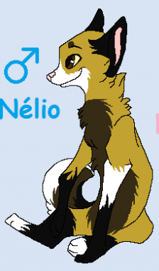 Detail Nelio
