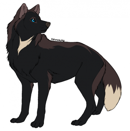 Detail Kanika (BM)