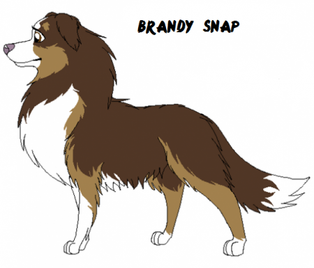 Detail Brandy Snap