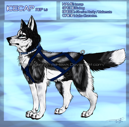 Detail Icecap (AWJ)