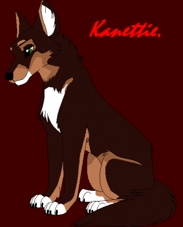 Detail Kanettie.