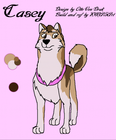 Detail Casey (Formula C)