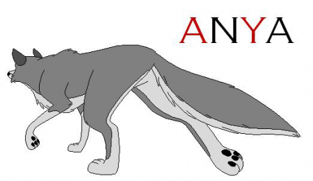 Detail Anya (LP)