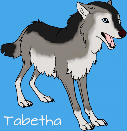 Detail Tabetha 