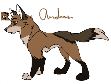 Detail Andrew**