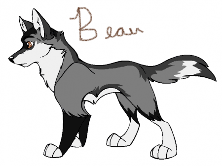 Detail Beau**