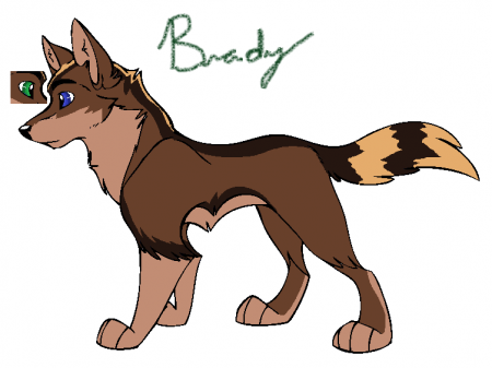 Detail Brady**