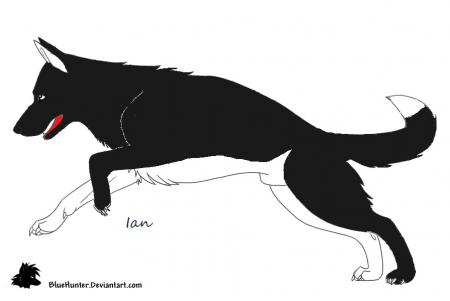 Detail Ian (Dawolf)