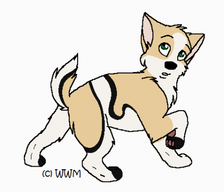 Detail Fianna