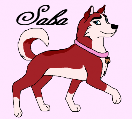 Detail Saba (FC/ADNC)