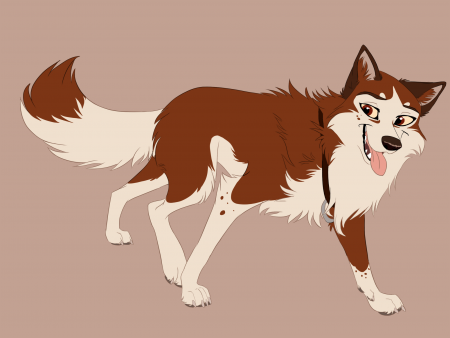 Detail Dingo.