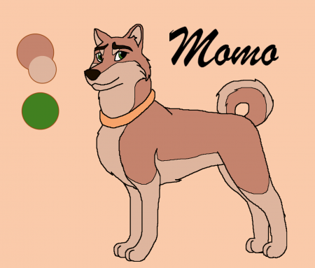 Detail Momo (ADNC)