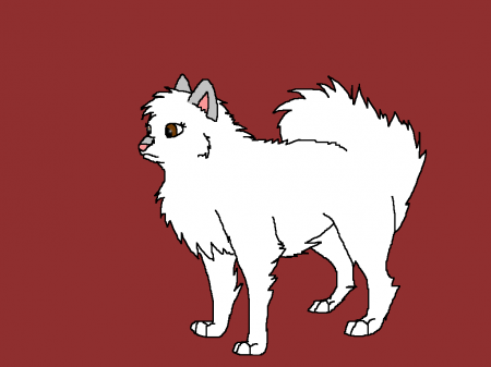 Detail Cora (Nani)