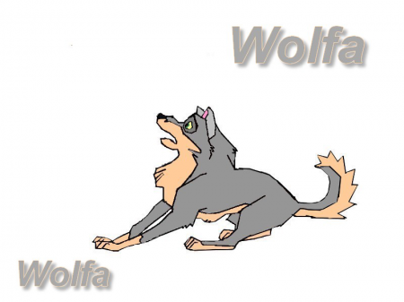 Detail Wolfa(Outland03)