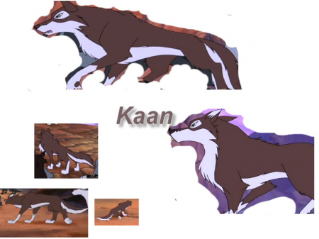Detail Kaan