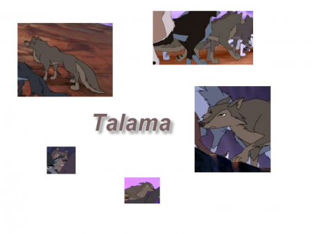 Detail Talama