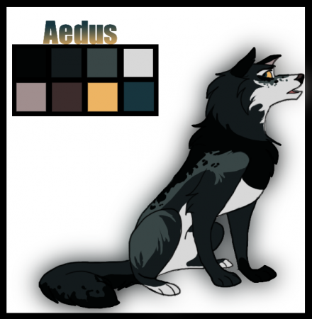 Detail Aedus