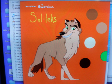 Detail Sol-leks