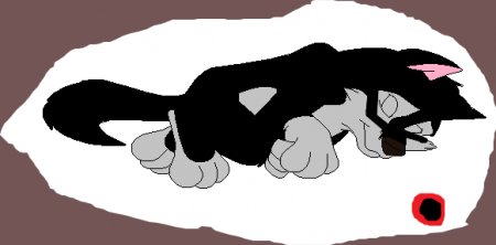 Detail Moka(Aleu13)
