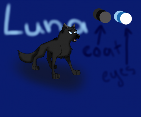 Detail Luna (FS)