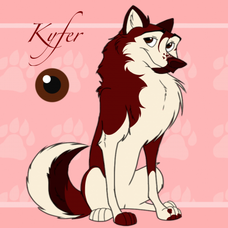 Detail Kyfer