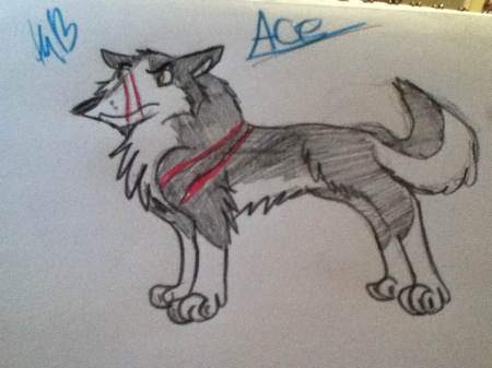 Detail Ace (KWD)