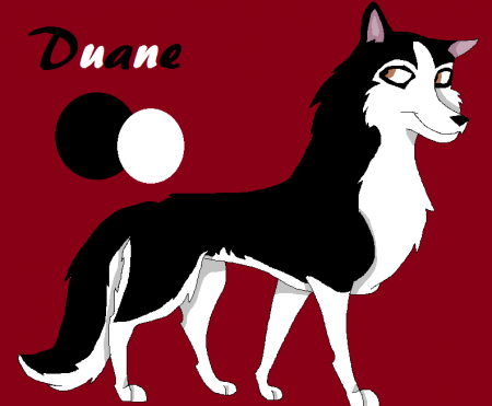 Detail Duane