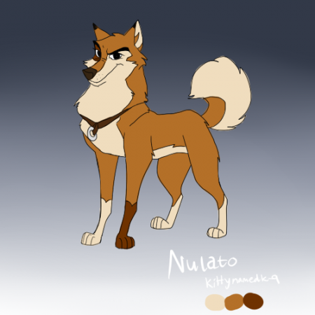 Detail Nulato (Kitk-9)