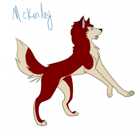 Detail Mckinley