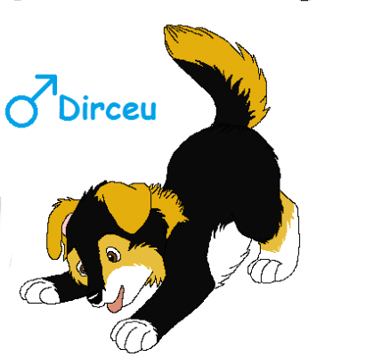 Detail Dirceu