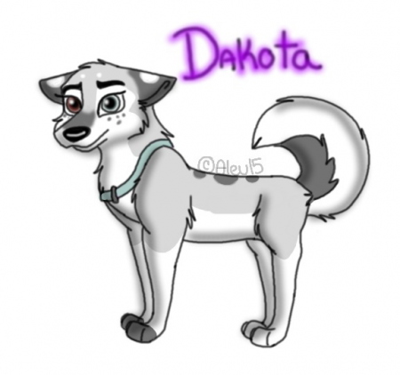 Detail Dakota©A15