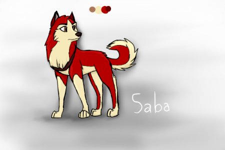 Detail Saba (KKCat)