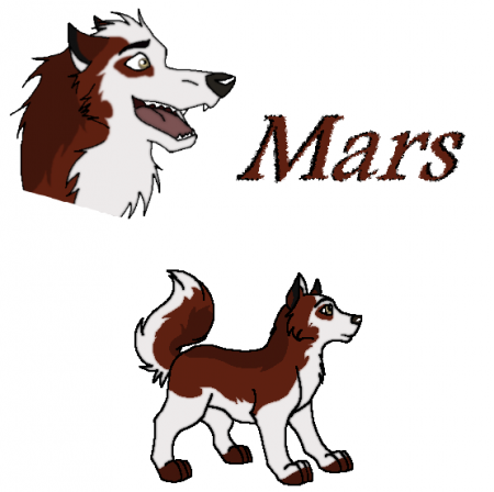 Detail Mars (AW)