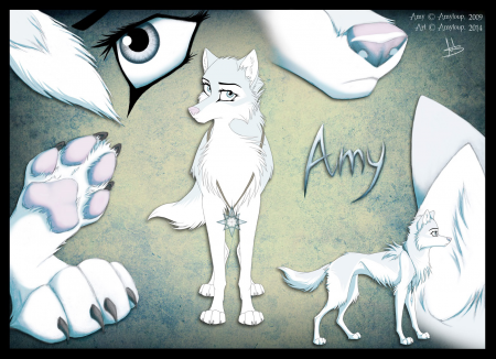 Detail Amyloup