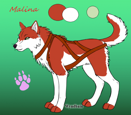 Detail Malina (FWA)
