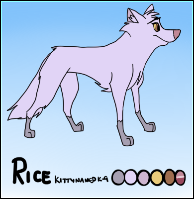 Detail Rice (Kitk-9)