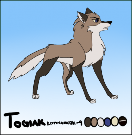 Detail Togiak (kitk-9)
