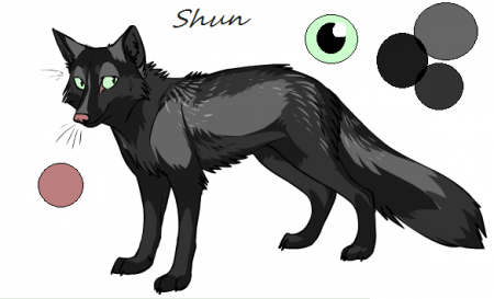 Detail Shun