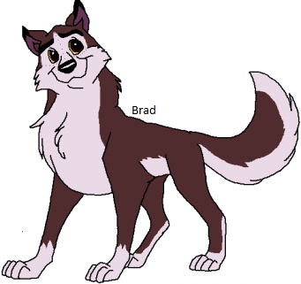 Detail Brad(Mogo)