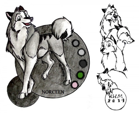 Detail Norceen