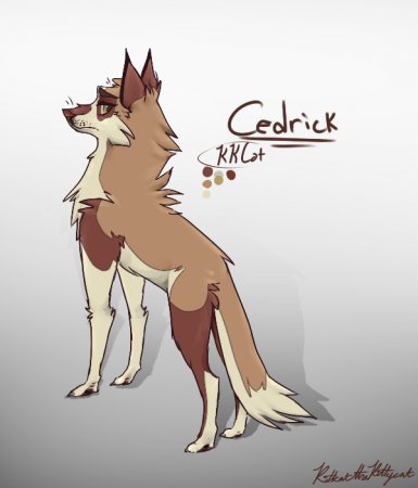 Detail Cedrick (KKCat)