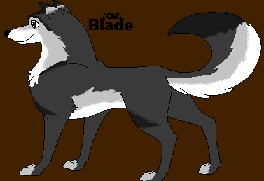 Detail Blade (CM)