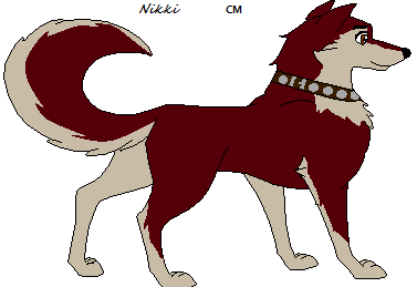 Detail Nikki (CM)