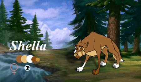 Detail Shella