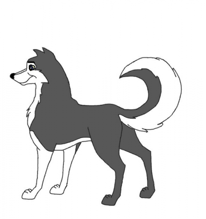 Detail Wolfy