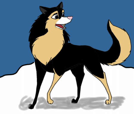Detail Gemini (inu)