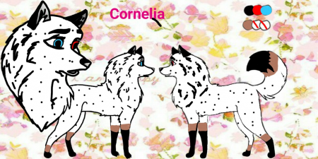 Detail Cornelia (inu)