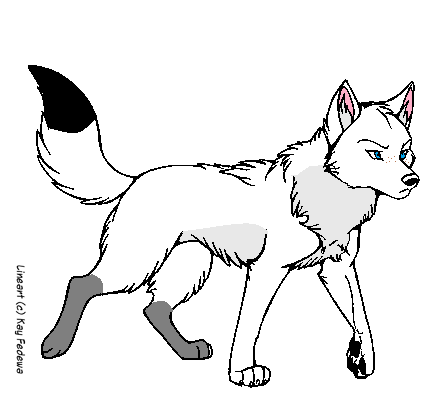 Detail Léa Le Husky