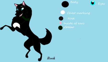 Detail .:Rook:.