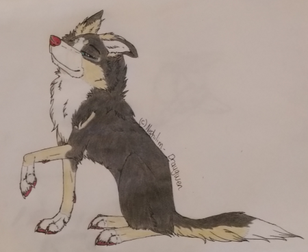 Detail Kristen <:~NW fursona~:>